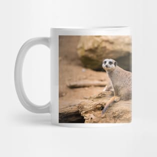 Meerkat on a rock Mug